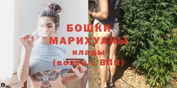 молекула духа Коряжма