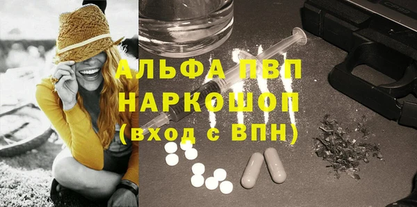 молекула духа Коряжма