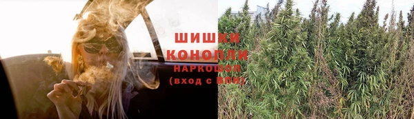 Альфа ПВП Инта