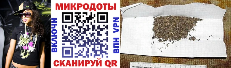 Купить  Карталы  Галлюциногенные грибы Psilocybine cubensis 